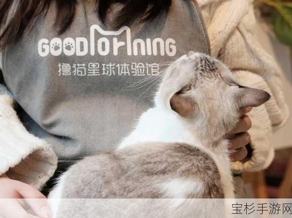 猫咪星球，畅玩攻略指南