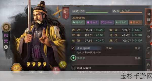 三国志·战棋版深度剖析，张宝角色去留策略解析