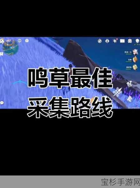 原神游戏中鸣草快速采集方法与全攻略指南