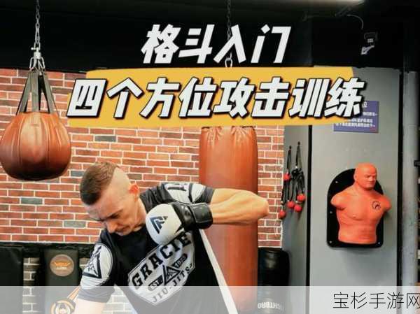 UFC2操作全攻略，解锁格斗之王秘籍的详尽指南