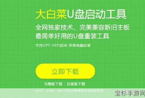 手游玩家必备，大白菜U盘助戴尔系统恢复，确保游戏畅玩无阻！