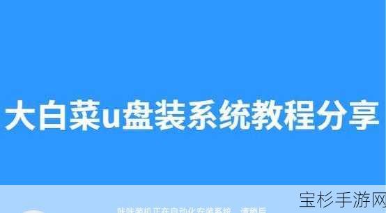 手游玩家新宠，全面解析大白菜U盘刷机教程