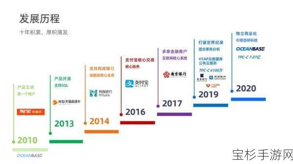 蚂蚁跑者，全方位深度剖析角色养成的实用攻略指南